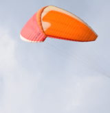 DSC_0353.JPG-1 DSC_0353.JPG-1